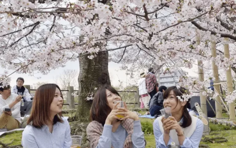 Hanami Festival (Cherry Blossom Festival)